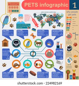 Domestic pets infographic elements, helthcare, vet. Vector illustration