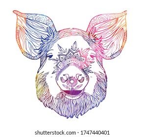 
Domestic pig. Doodling coloring book. A drawing with many details. Meditative coloring. Dots, strokes, patterns.