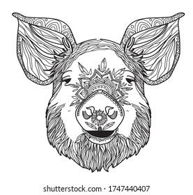 
Domestic pig. Doodling coloring book. A drawing with many details. Meditative coloring. Dots, strokes, patterns.