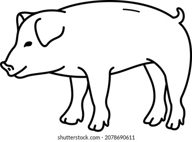 Domestic pig. Vector outline illustration.