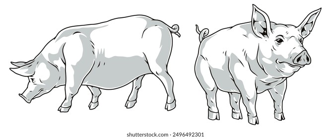 Domestic pigs monochrome set logotypes with two piglets from different sides for agricultural business book design vector illustration