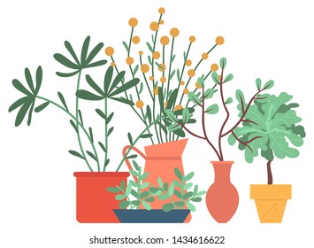 Domestic plants vector, pots and vases with foliage, set of blooming leaves and flowers. Botanical elements decor for home, nature flourishing flat style