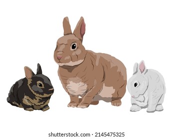 Domestic rabbit with two rabbits. Vector animal
