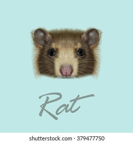 Domestic Rat portrait. Vector illustrated portrait of brown Rat on blue background.