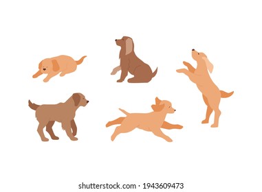 Domestic redhead and brown dogs set. Collection of pets. Cute puppy runs, sleep, walking and play. Different poses, vector illustration isolated on white background