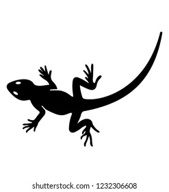 Domestic reptile, lizard solid icon