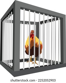 domestic rooster bird enclosed in a cage-