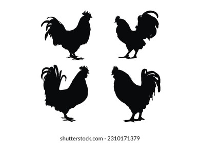 Domestic roosters standing in different positions. Herbivorous rooster standing silhouette on a white background. Rooster full body silhouette collection. Big chicken silhouette bundle design.