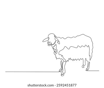 Domestic sheep simple line art illustration. Continuous one line draw of sheep animal.