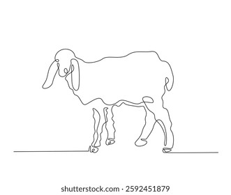 Domestic sheep simple line art illustration. Continuous one line draw of goat animal.