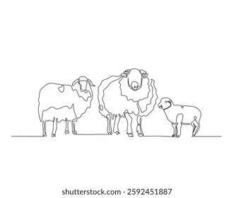 Domestic sheep simple line art illustration. Continuous one line draw of goat animal.