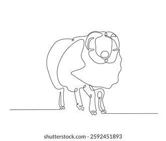 Domestic sheep simple line art illustration. Continuous one line draw of sheep animal.