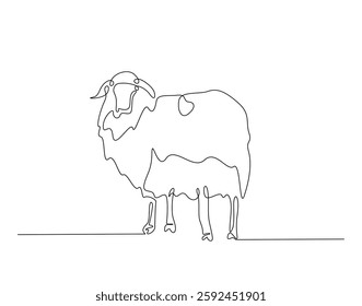 Domestic sheep simple line art illustration. Continuous one line draw of sheep animal.