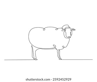 Domestic sheep simple line art illustration. Continuous one line draw of sheep animal.