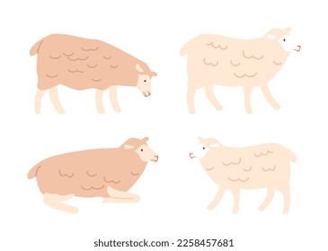 Domestic Sheep Standing and Lying. Livestock Creature with Curly Wool. Herbivorous Animal which Gives Wool, Meat and Milk. Ruminant Mammals Isolated on White Background. Cartoon Vector Illustration