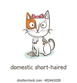 Domestic short-haired. Cute vector cartoon cat character with mouse isolated on white with breed caption