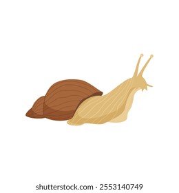 Domestic snail on white background. Large African snail is a wonderful pet. Slow sloth, friend for home living. Flat vector illustration