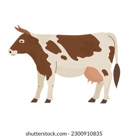 Domestic spotted cow with an udder full of milk. Farm cattle. Dairy and meat products. Vector illustration. Isolated object on white background.