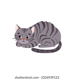 Domestic striped gray cat or kitten character laying, cartoon flat vector illustration isolated on white background. Funny domestic pet animal for cats lovers.