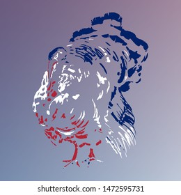 Domestic turkey painted in colors of USA flag on transparent background. Thanksgiving card with a angry turkey cock. Vector illustration for design element for poster, emblem, sign, card, banner.