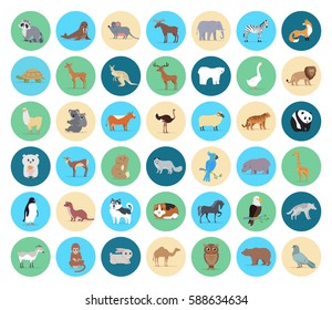 Domestic and wild animals in circles vector collection on white. Beige, green and blue round shapes with grey mouse and raccoon, koala with child, brow fox, striped tiger, white goose and bear etc.