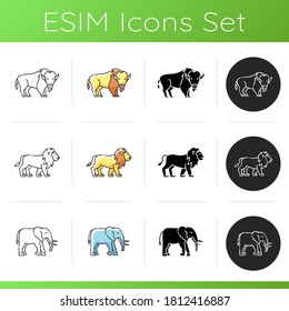 Domestic and wild animals icons set. Linear, black and RGB color styles. American bison, african elephant and lion. African and north american wildlife. Isolated vector illustrations