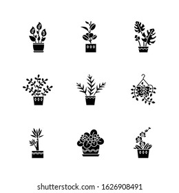 Domesticated plants black glyph icons set on white space. Houseplants. Decorative plants. African violet, ficus, monstera. Peace lily, pothos, yucca. Silhouette symbols. Vector isolated illustration