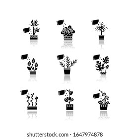Domesticated plants drop shadow black glyph icons set. Houseplants. Decorative indoor plants. African violet, ficus, monstera. Peace lily, pothos, yucca. Isolated vector illustrations on white space