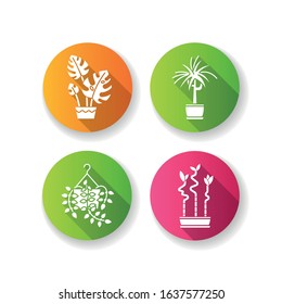 Domesticated plants flat design long shadow glyph icons set. Houseplants. Ornamental plants. Natural home, office decor. Pothos, dracaena. Monstera, lucky bamboo. Silhouette RGB color illustration