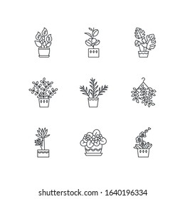 Domesticated plants pixel perfect linear icons set. Houseplants. Violet, ficus, monstera. Lily, pothos. Customizable thin line contour symbols. Isolated vector outline illustrations. Editable stroke