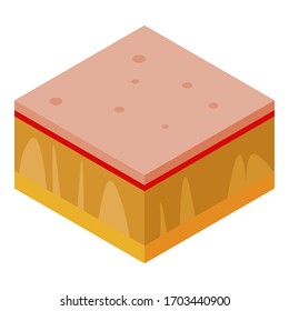 Donen icono de piel humana. Isométrico de donar icono vector de piel humana para el diseño web aislado en fondo blanco