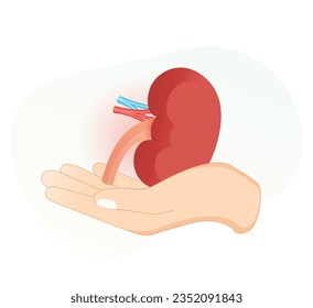 Donate Kidney - Save Life - Stock Illustration  as EPS 10 File