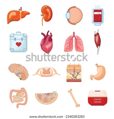 Donate organs icons set cartoon vector. Human donor. Medical time