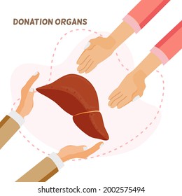 Donation organs concept, 2hands giving liver, the other 2 lay flat positions like receiving the liver