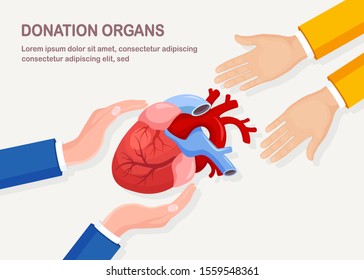 Donation Organs. Donor Heart For Cardiac Transplantation. Volunteer Aid For The Patient. Vector Cartoon Design