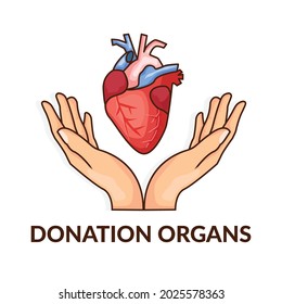 Donation Organs. Donation Heart For Cardiac Transplantation. Vector Illustration Design Icon