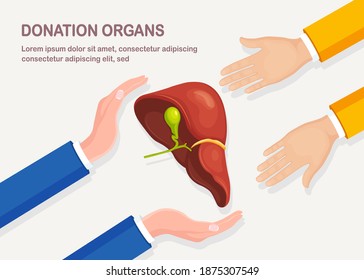 Donation organs. Human liver in doctor hand isolated on white background. Anatomy of internal organs, medicine. Volunteer aid for the patient. Vector flat design