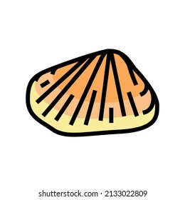 donax clam color icon vector. donax clam sign. isolated symbol illustration