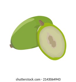Dondong Fruit Vector flat design graphic 2d HD