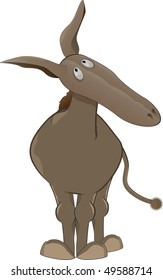 Donkey