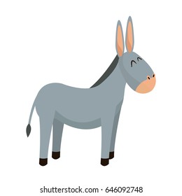 donkey animal christianity religion image