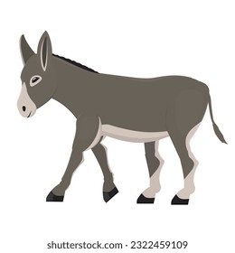 Donkey. Animal donkey, vector illustration