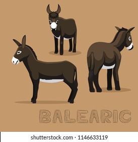 Donkey Balearic Cartoon Vector Illustration