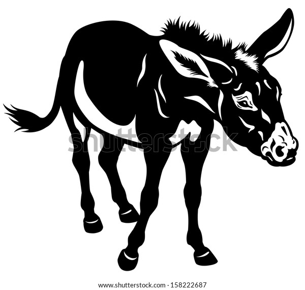 Donkey Black White Illustration Stock Vector (Royalty Free) 158222687