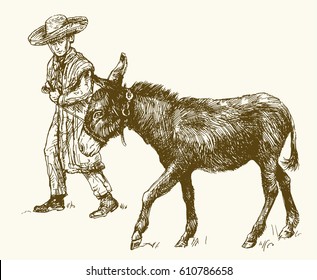 Donkey with boy. Hand drawn vector illustration.