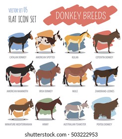 Donkey breeds icon set. Animal farming. Flat design. Vector illustration