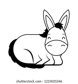 donkey cartoon animal wild life