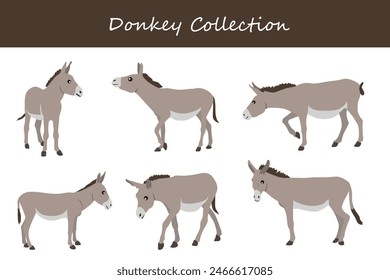 donkey collection. donkey in different poses. Vector illustration.