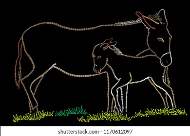 A donkey with a cub