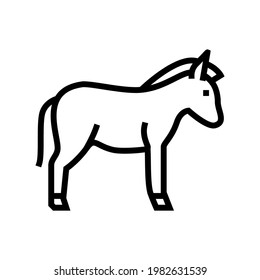 donkey domestic animal line icon vector. donkey domestic animal sign. isolated contour symbol black illustration